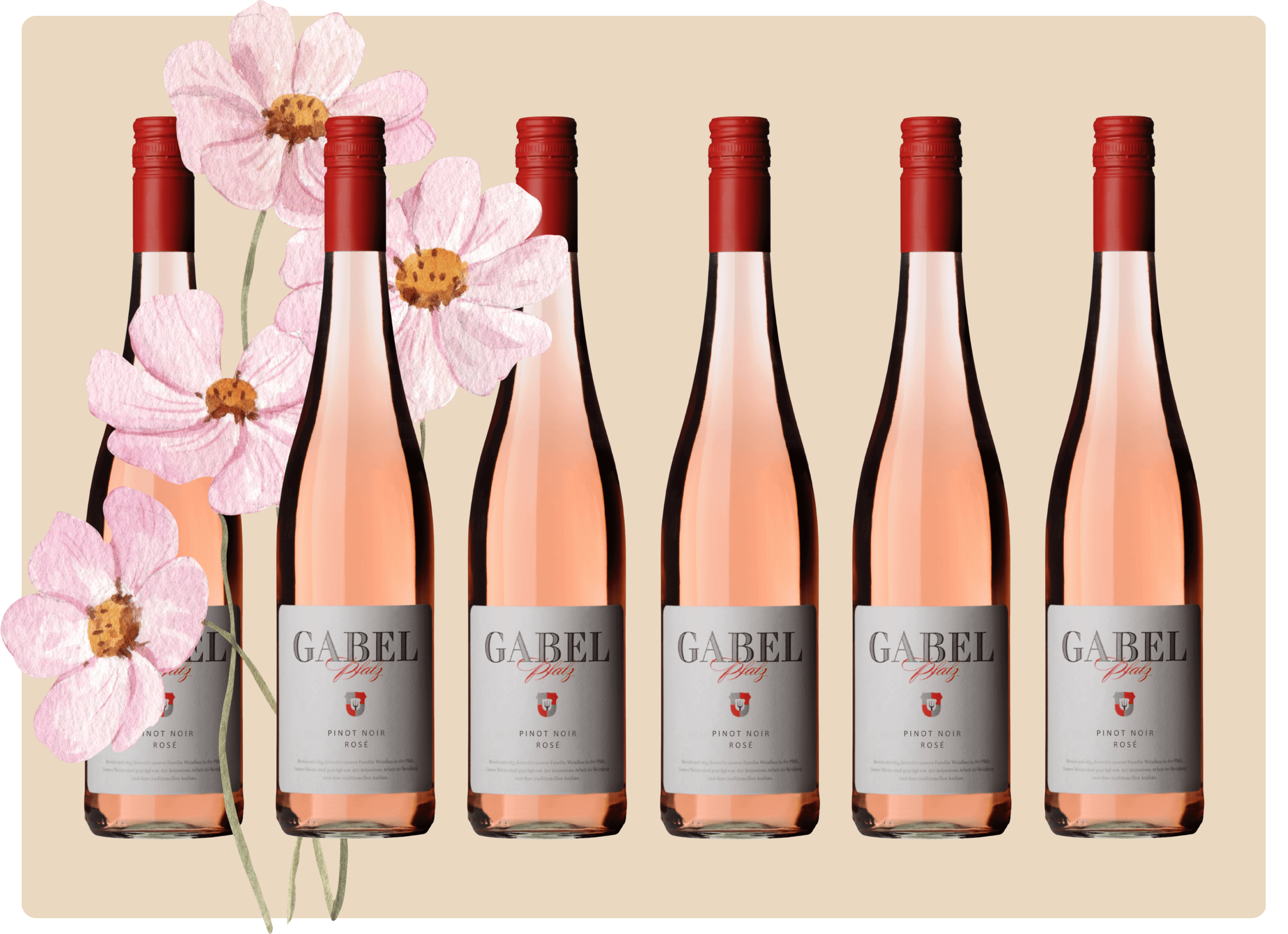 6er Rosépaket